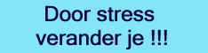 Stress en burnout begeleiding in de regio.